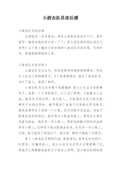小游击队员读后感.docx