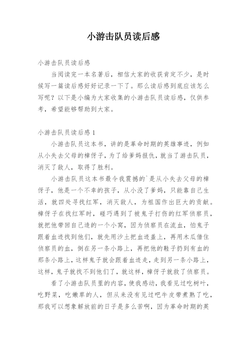小游击队员读后感.docx
