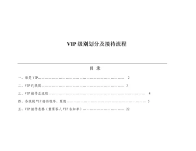 VIP等级划分及接待标准流程.docx