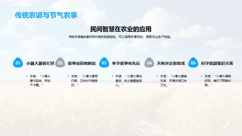 小暑大暑的气候农业