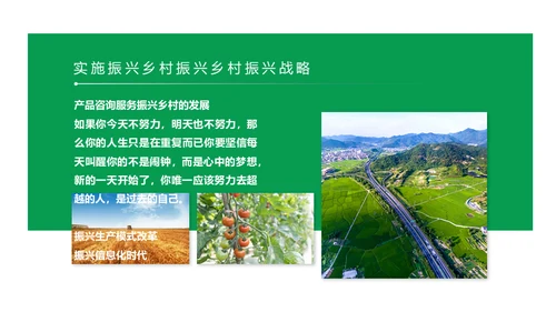 建设新时代美丽新农村通用PPT模板