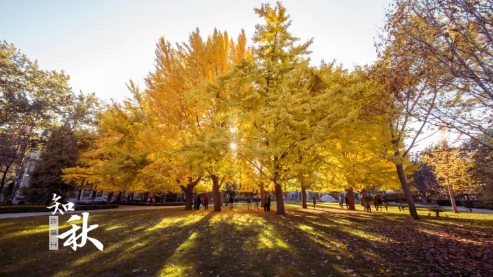 绿色简约北京理工大学专属学术汇报毕业答辩通用PPT模板