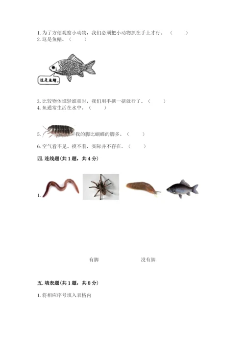 教科版小学科学一年级下册期末测试卷带答案ab卷.docx