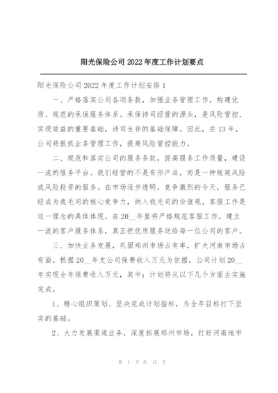阳光保险公司2022年度工作计划要点.docx