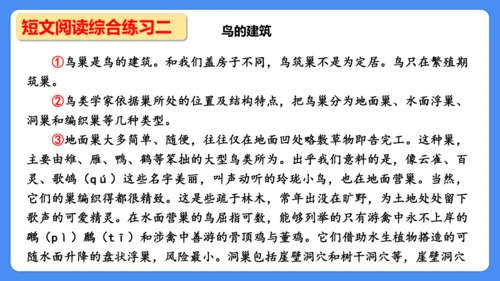 期末专项复习 说明文阅读复习（课件）-2024-2025学年语文五年级上册（统编版）