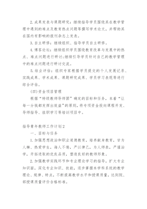 指导青年教师工作计划_1.docx