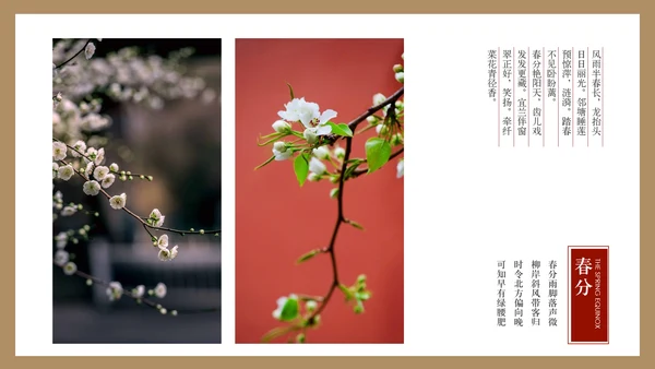 最美故宫中国风画册PPT