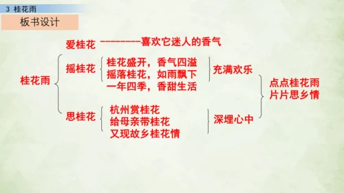 3 桂花雨     课件