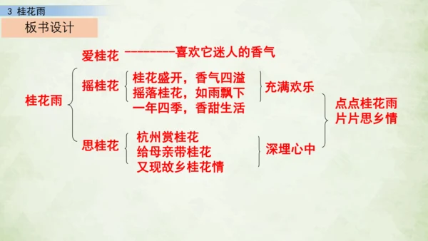 3 桂花雨     课件