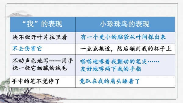 部编版五年级上册语文 4 珍珠鸟 课件