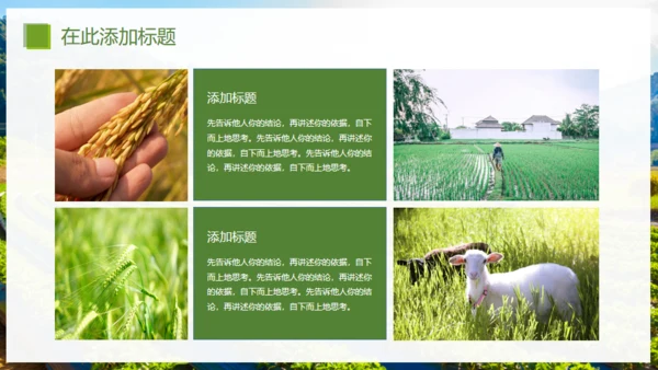 乡村振兴精准扶贫，特色农业项目计划书通用PPT模板