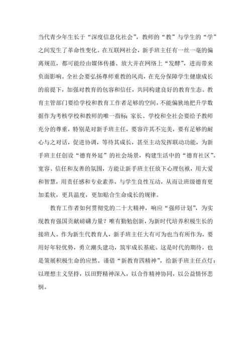 新手班主任的角色塑造与价值构建.docx