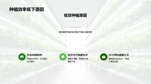 科技引领蔬菜新革命