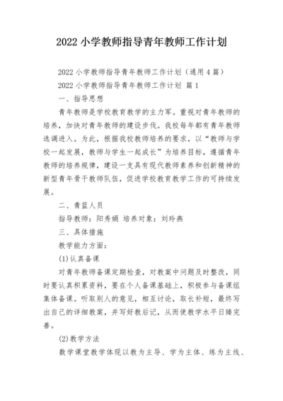 2022小学教师指导青年教师工作计划.docx