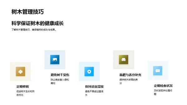 科学植树实践探索