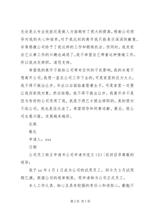公司申请书范文4篇.docx