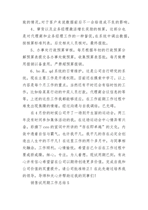 销售试用期工作总结.docx