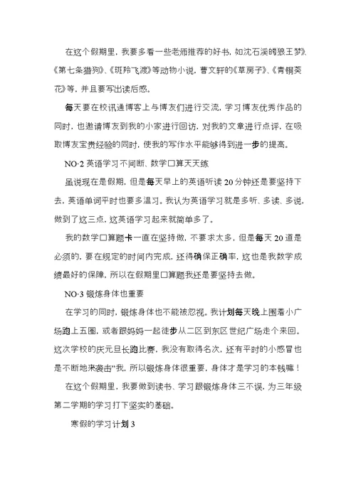 寒假的学习计划 (2)