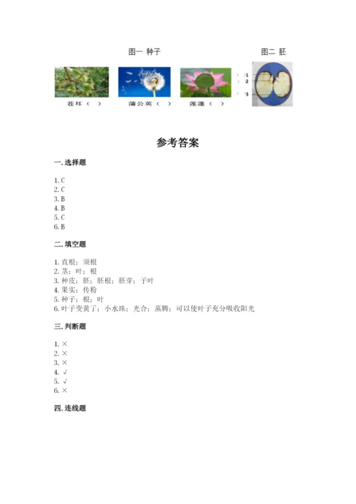 教科版四年级下册科学第一单元《植物的生长变化》测试卷（各地真题）.docx