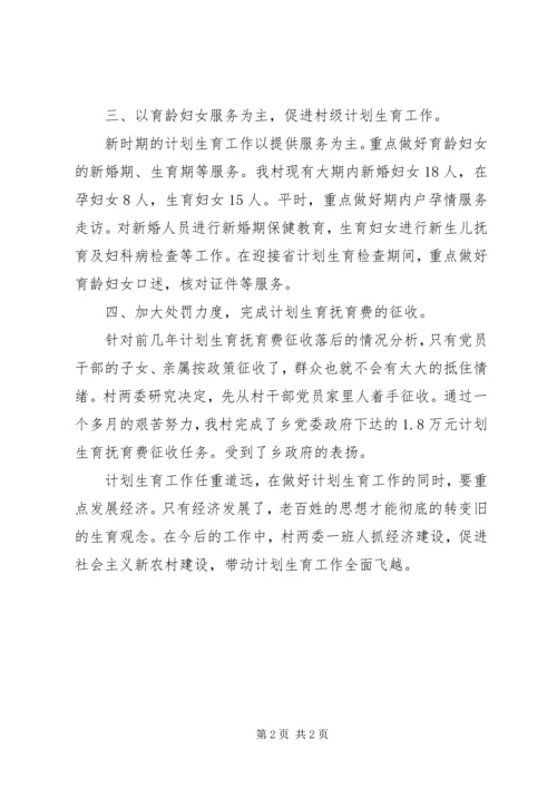 村XX年计划生育工作总结 (5).docx