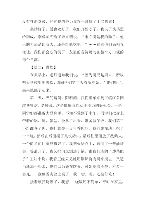 关于野炊的作文.docx