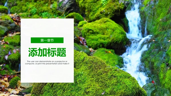 绿色环保世界湿地森林日动态PPT模板