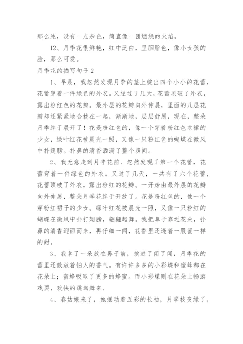 月季花的描写句子.docx