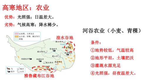 人教版（人文地理）下册5.4.1 海拔最高的牧区 课件