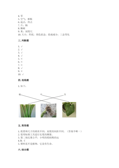 教科版一年级上册科学期末测试卷精品（典优）.docx