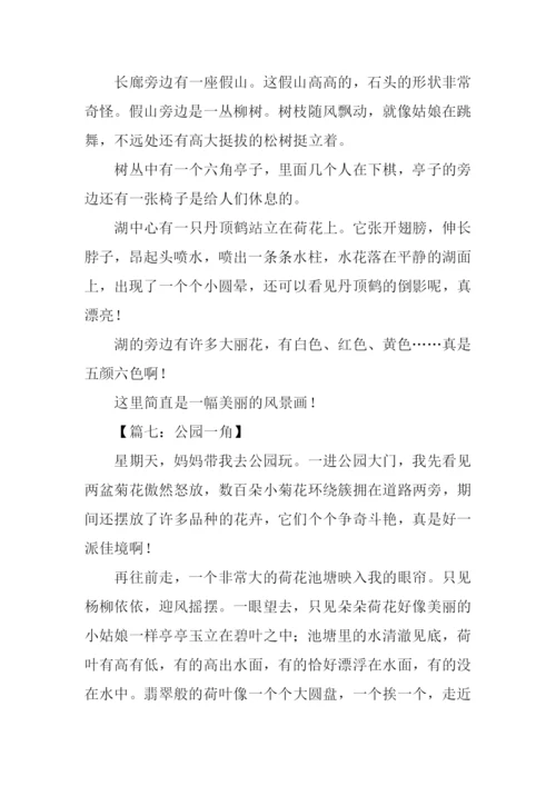 公园一角作文300字-1.docx