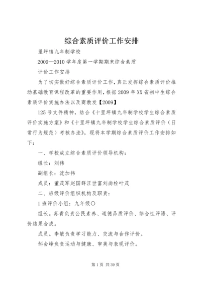 综合素质评价工作安排.docx