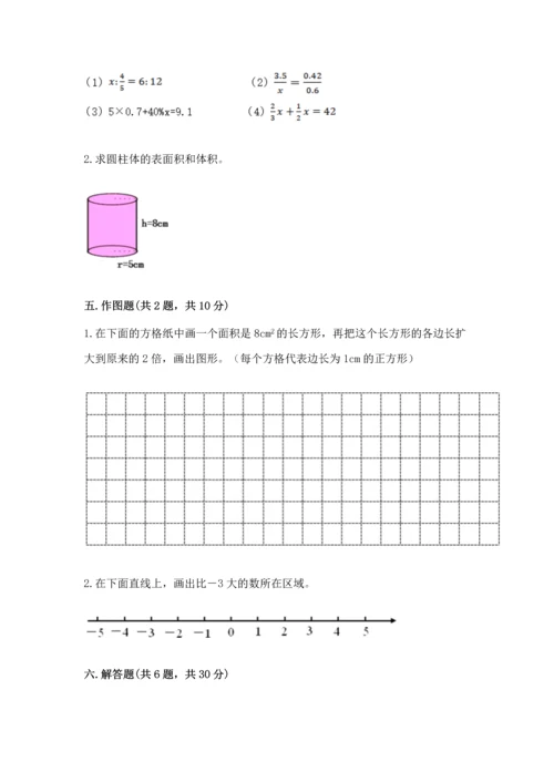 人教版六年级下册数学期末测试卷（典优）word版.docx