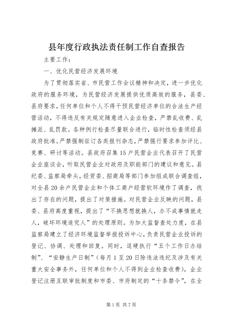 县年度行政执法责任制工作自查报告.docx