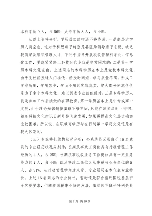 国税班子调研报告.docx