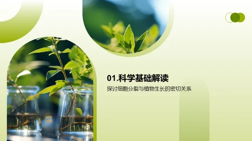 植物生长与教学创新