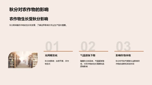 秋分的自然奥秘