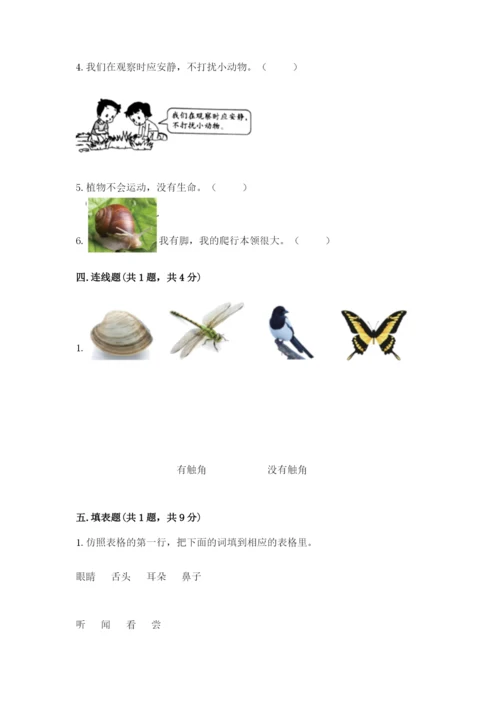 教科版小学科学一年级下册期末测试卷附参考答案【典型题】.docx