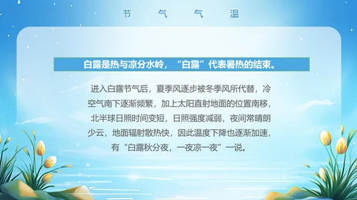 美丽的梦幻传统节气白露PPT模板