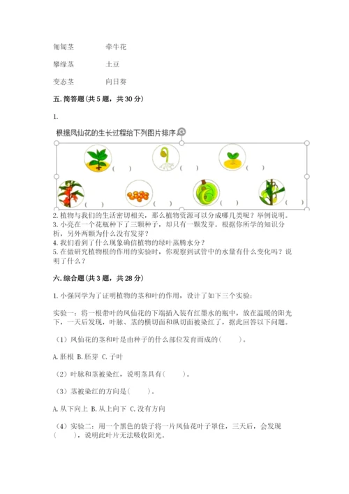 科学四年级下册第一单元植物的生长变化测试卷完整版.docx