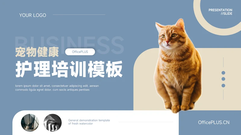 蓝金欧美风物健康护理培训模板PPT模板