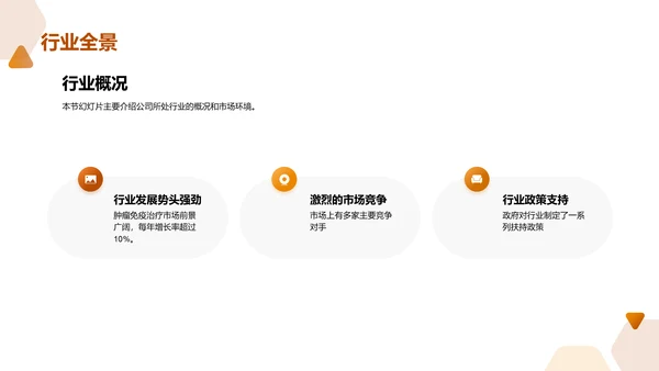 公司年度总结汇报