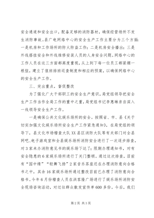 县文广局安全生产情况汇报材料.docx