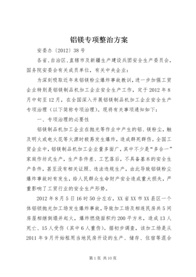 铝镁专项整治方案.docx