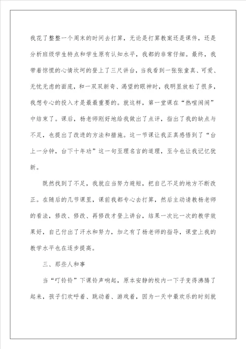 见习教师教学类随笔