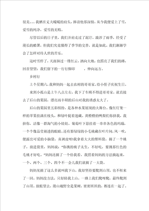 乡村美景作文500字5篇