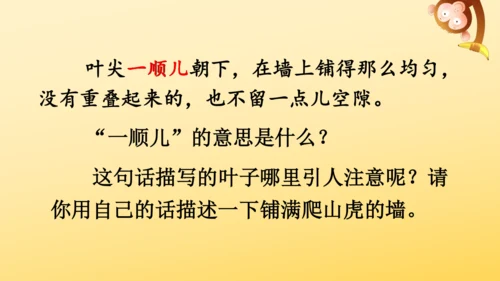 10 爬山虎的脚   课件