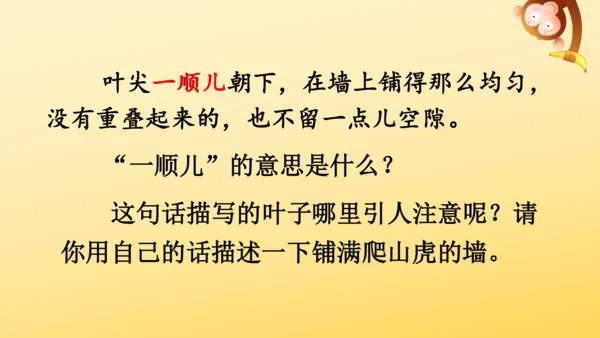 10 爬山虎的脚   课件