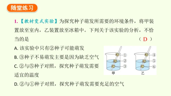 3.1.1 种子的萌发-七年级生物下学期同步精品课件（2024人教版）(共25张PPT)