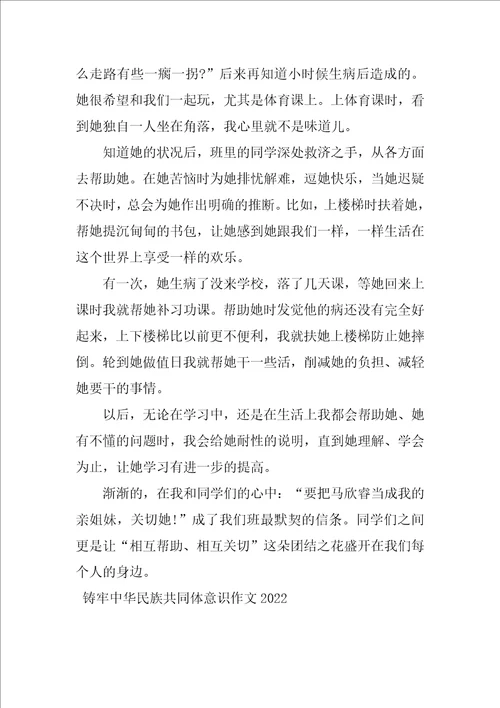 铸牢中华民族共同体意识作文2022