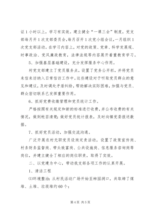 村党支部XX年党建工作情况汇报.docx